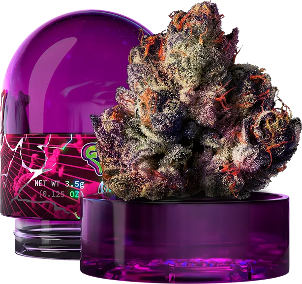 Rainbow Gelato Wizard Trees Kaufen Online